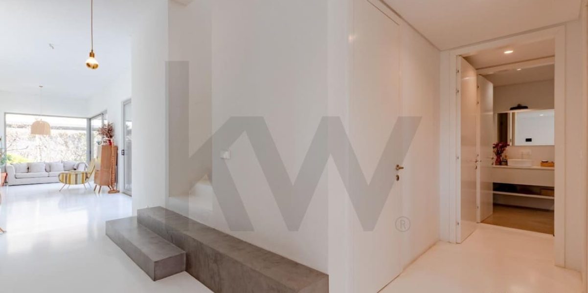 imgi_127_6f52b9e7-711c-4f6f-9d00-0b9788f24c13