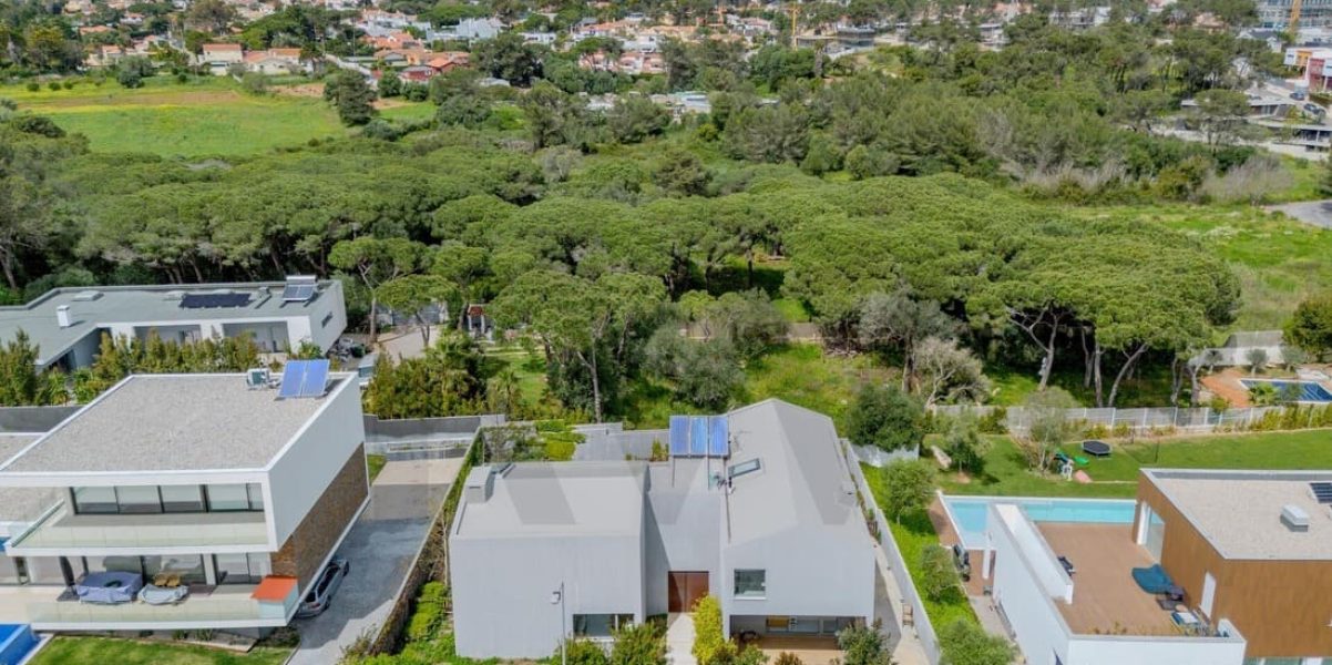 imgi_165_437064b3-b9e6-4e45-bd21-6e2b6cf6ed6a