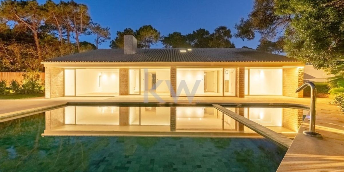 imgi_220_338fc5b5-8f7d-4824-b5fc-d89072342278