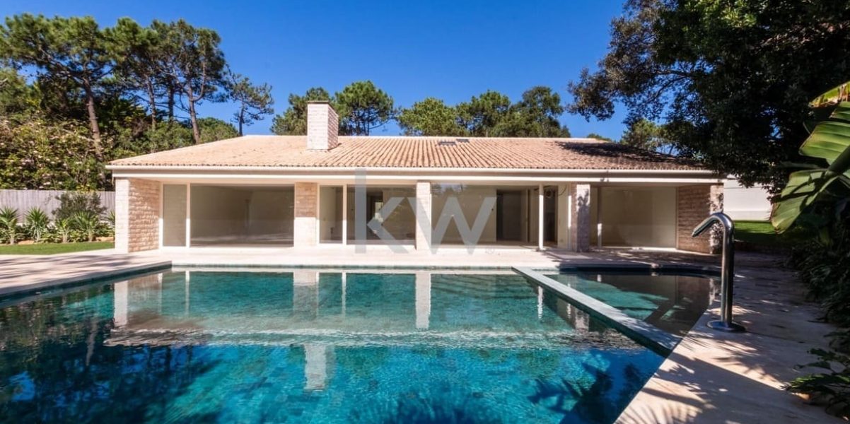 imgi_223_1a70a1b8-a102-4bf2-be11-0c3f3fba2670