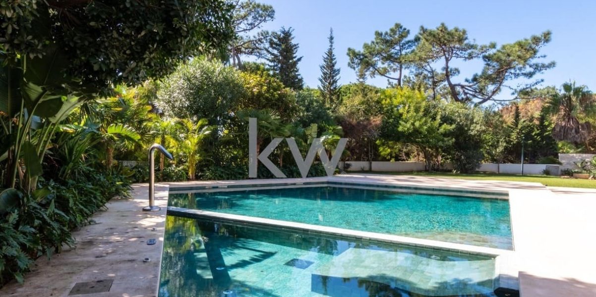 imgi_224_c2ae32b2-e233-47b1-9f6c-6923cfd90461