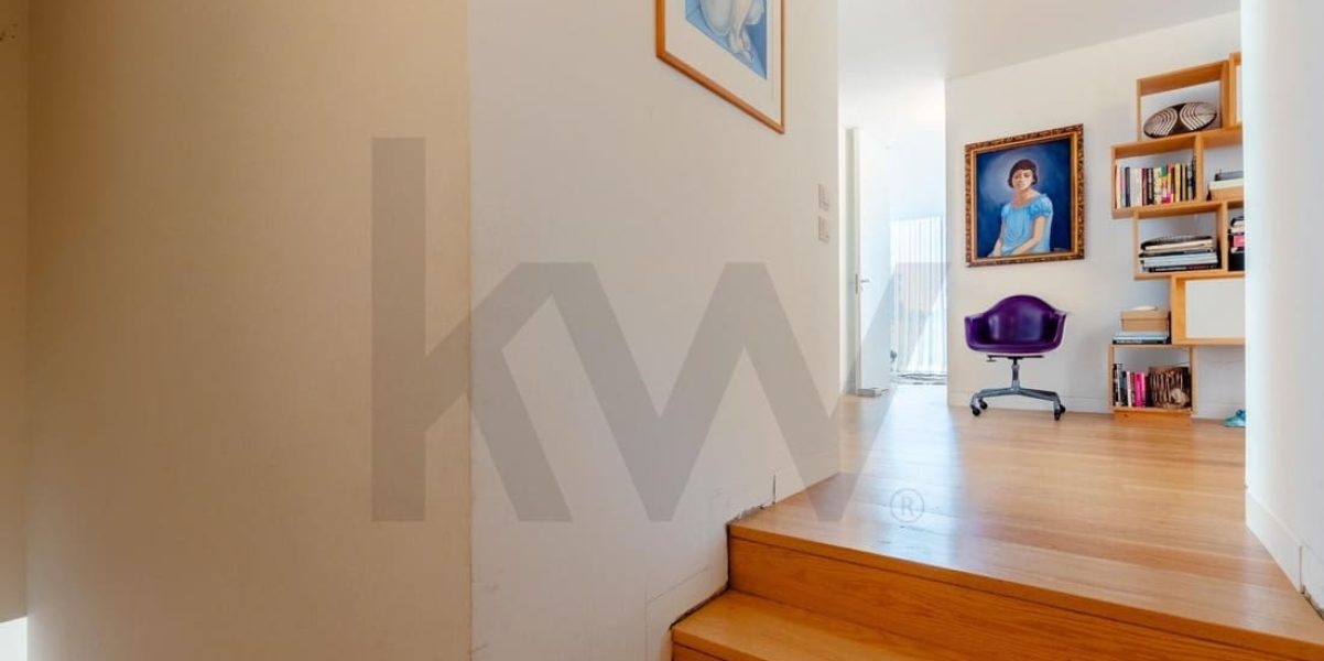 imgi_259_abed6694-f46f-4efc-b6ac-8da565e9dff5