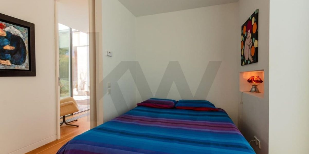 imgi_275_a1ed8137-2d0f-4713-a5ff-02d36e23b21b