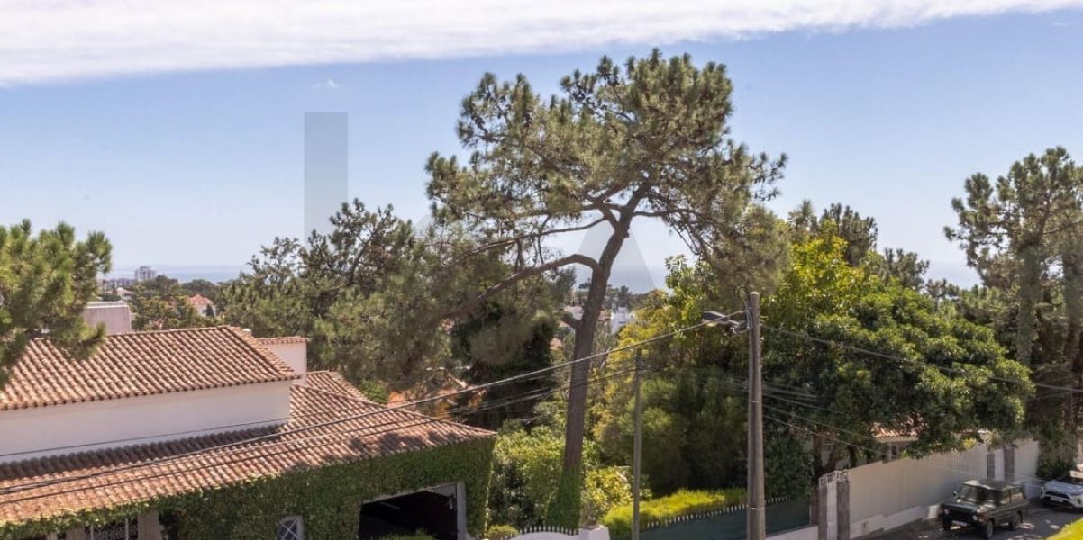 imgi_282_db3598fa-69ae-4e8d-a017-894d6c3c9b0e