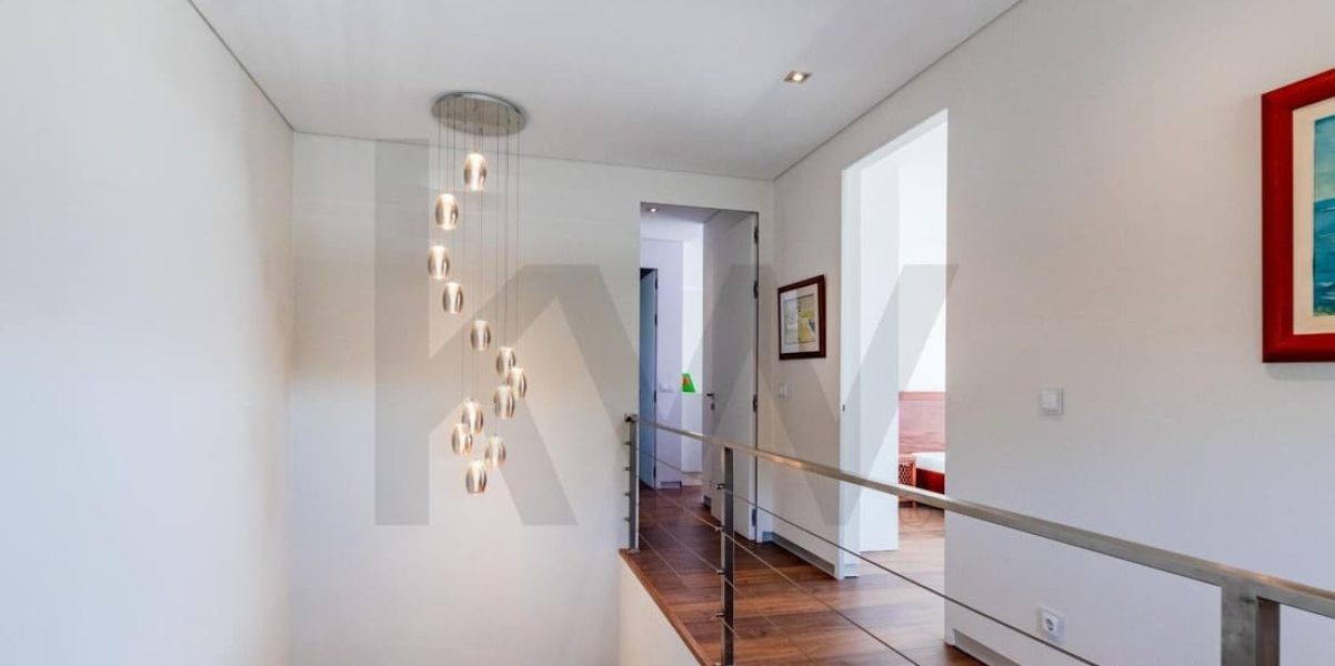 imgi_338_d2d0ddc2-2974-4c3b-8954-d8aa6af9ebf4