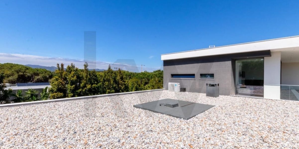 imgi_342_75fc6544-94d7-4097-9954-bb4b738d6591