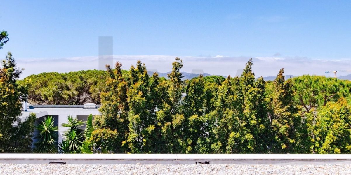 imgi_343_ebb088e6-9608-4ef5-a653-6d0eb743bf13