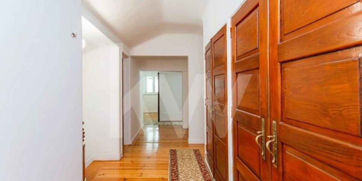 imgi_355_90b0df33-2f61-4a6f-a21e-f5ca0ebe2107