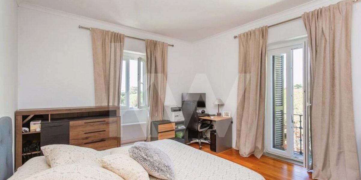 imgi_358_61df68be-9d9b-4d0c-8842-9569b834edc5