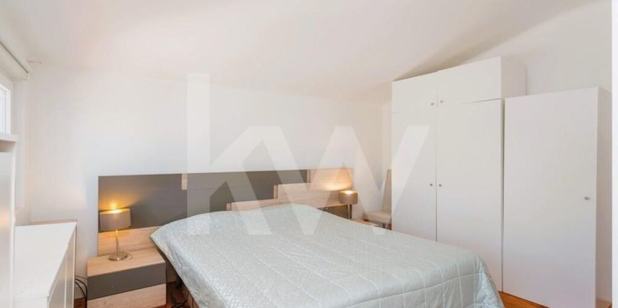 imgi_361_941dddc6-1db2-49a9-b8ff-271b8847a835 (1)