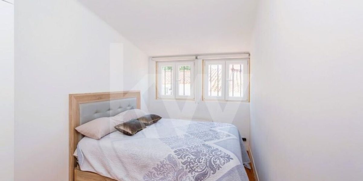 imgi_364_a13cc525-da17-4662-b711-25b987640a68