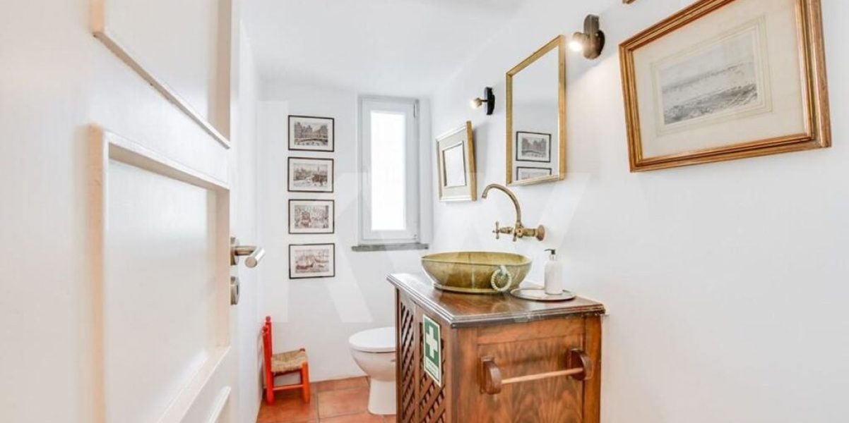 imgi_366_897dde50-8ca7-446a-90d1-82cad35c9e19