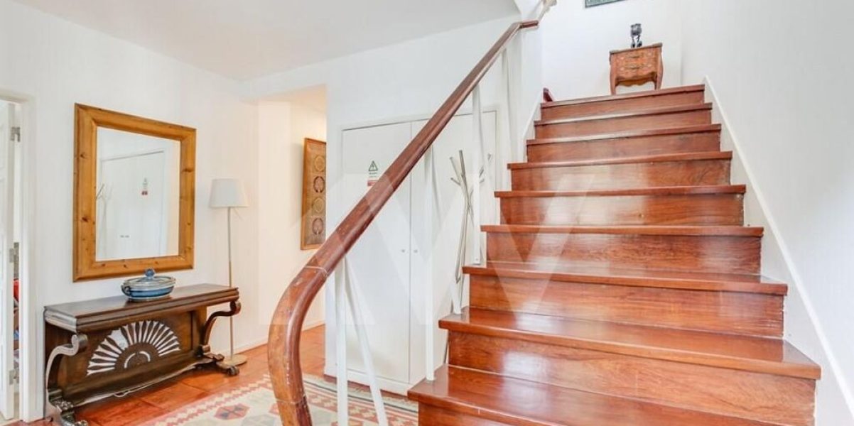 imgi_369_8bcf99ab-0892-4a0c-b2a9-ba5de0d2f8d0