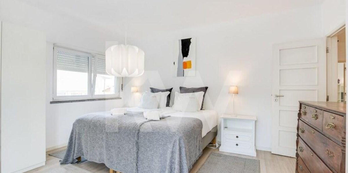 imgi_372_f8411472-2c21-4372-afcd-044959b17b39