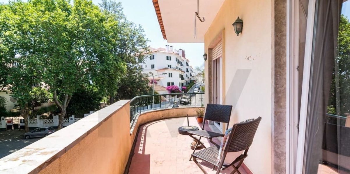 imgi_379_2948f3f9-0611-4f79-a894-aa5fb3884a59