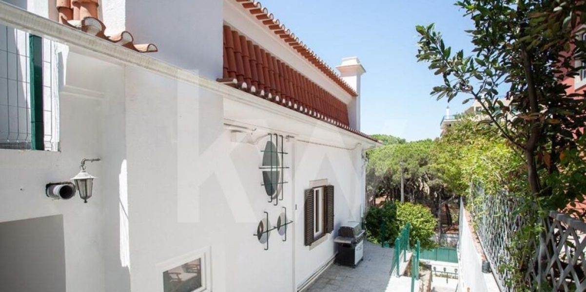 imgi_379_722e2deb-837e-4a35-9fa9-32b5673f3550