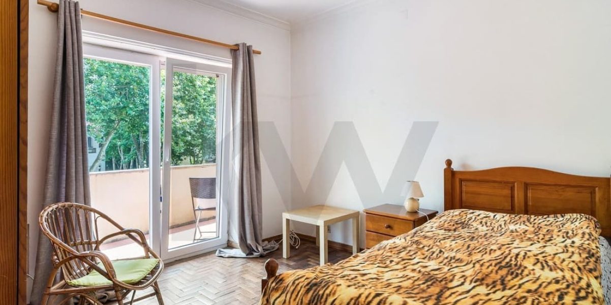 imgi_380_ff8dfe4f-04cf-48a0-9e58-86ffab541d3c