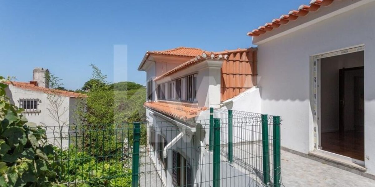 imgi_381_7e11c978-adc9-4c6f-b2a0-e471c9d0456f