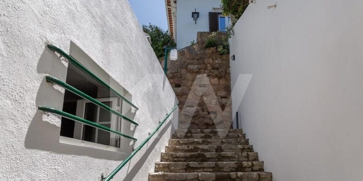 imgi_382_2a1adf61-d8de-4efe-b011-4bee02c39853