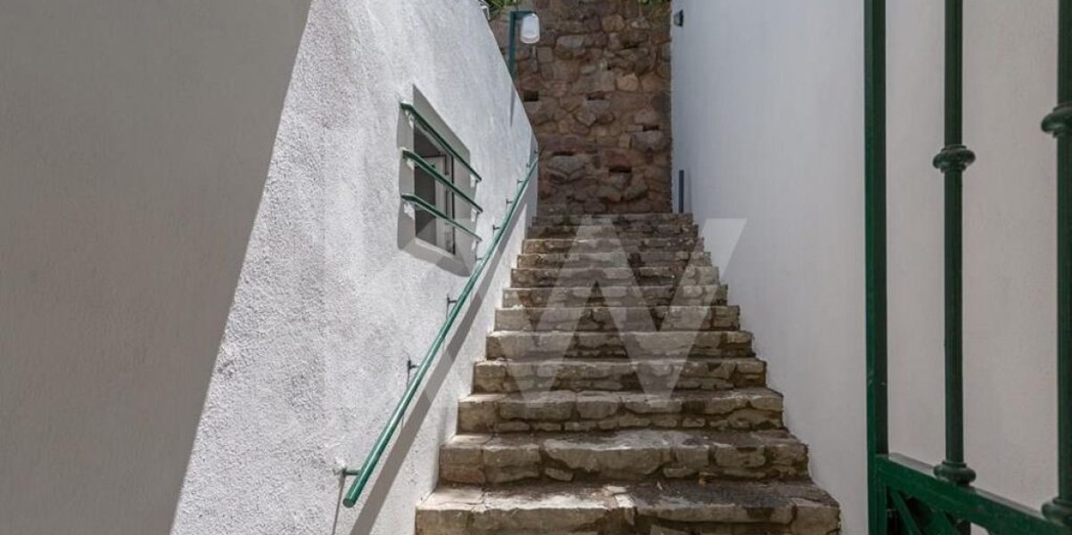 imgi_383_df3a9ea3-e701-4a7d-8bf7-953216fbc29c