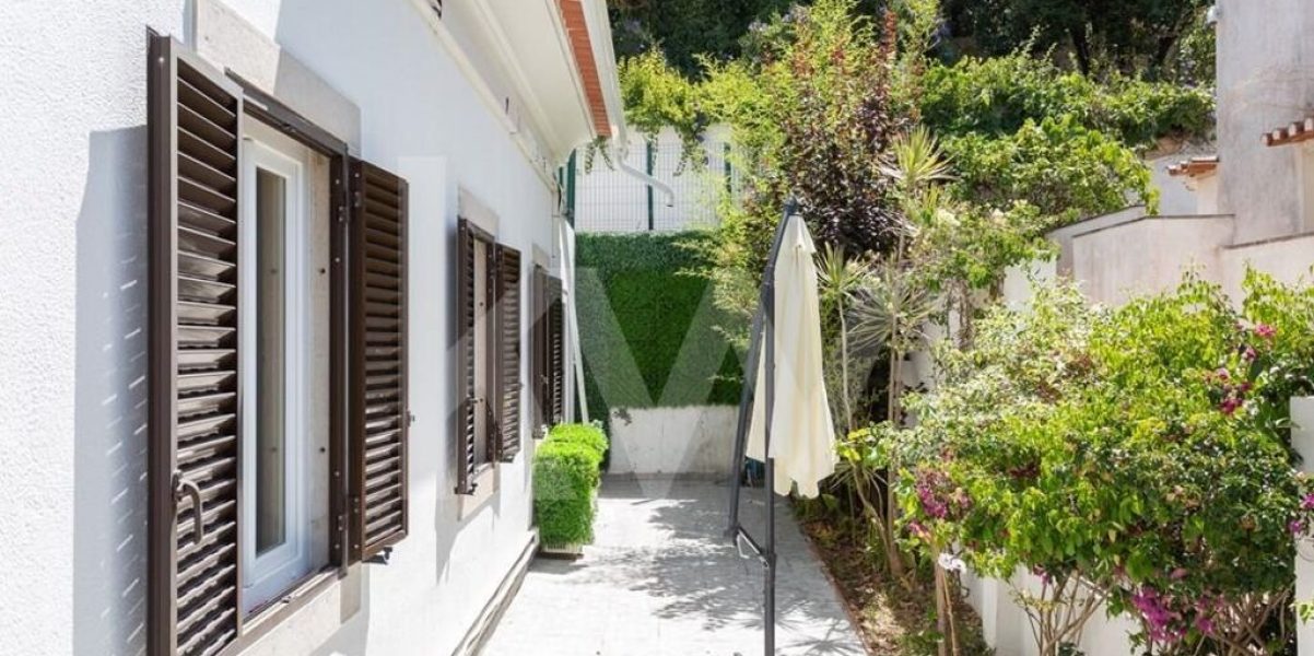 imgi_384_d3e701f9-7c3b-4300-906e-dca7a4052828