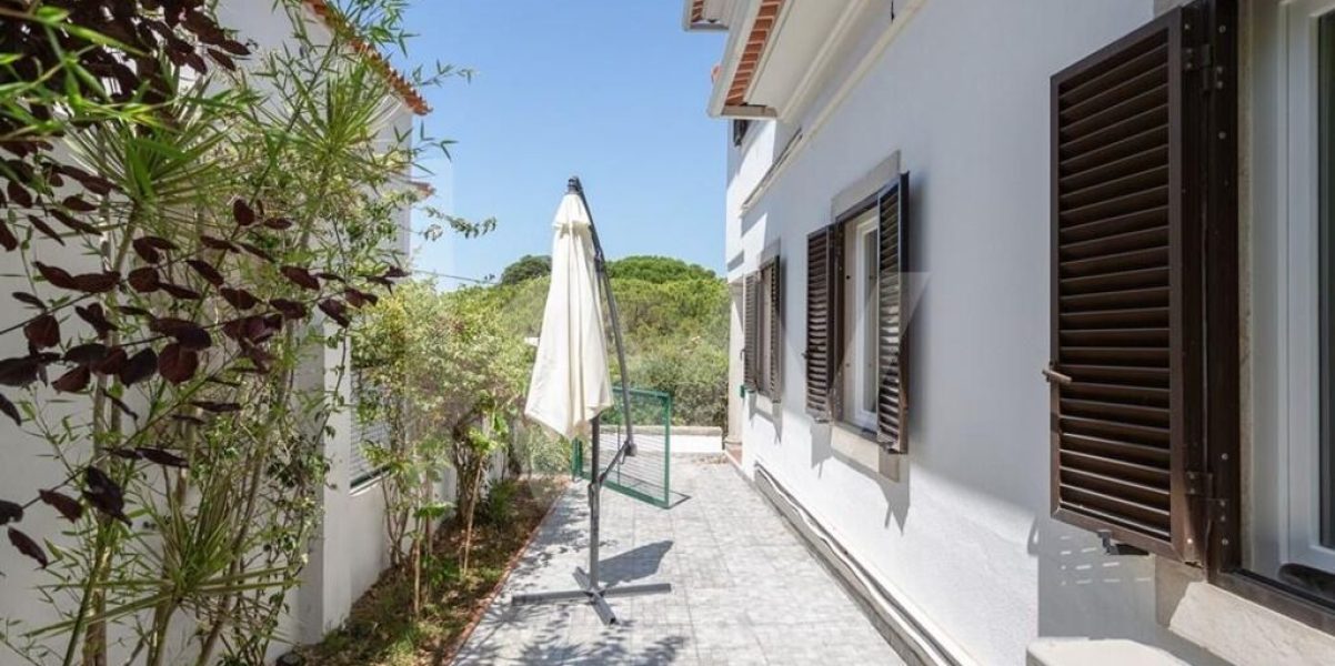 imgi_385_2e6d2ec9-e8ff-4c97-88d4-6e8d174a2a50