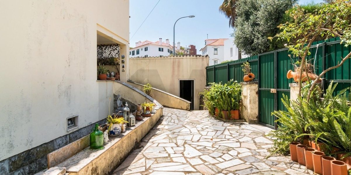 imgi_385_ff589f4c-df33-4337-857b-fa984e56ae4b