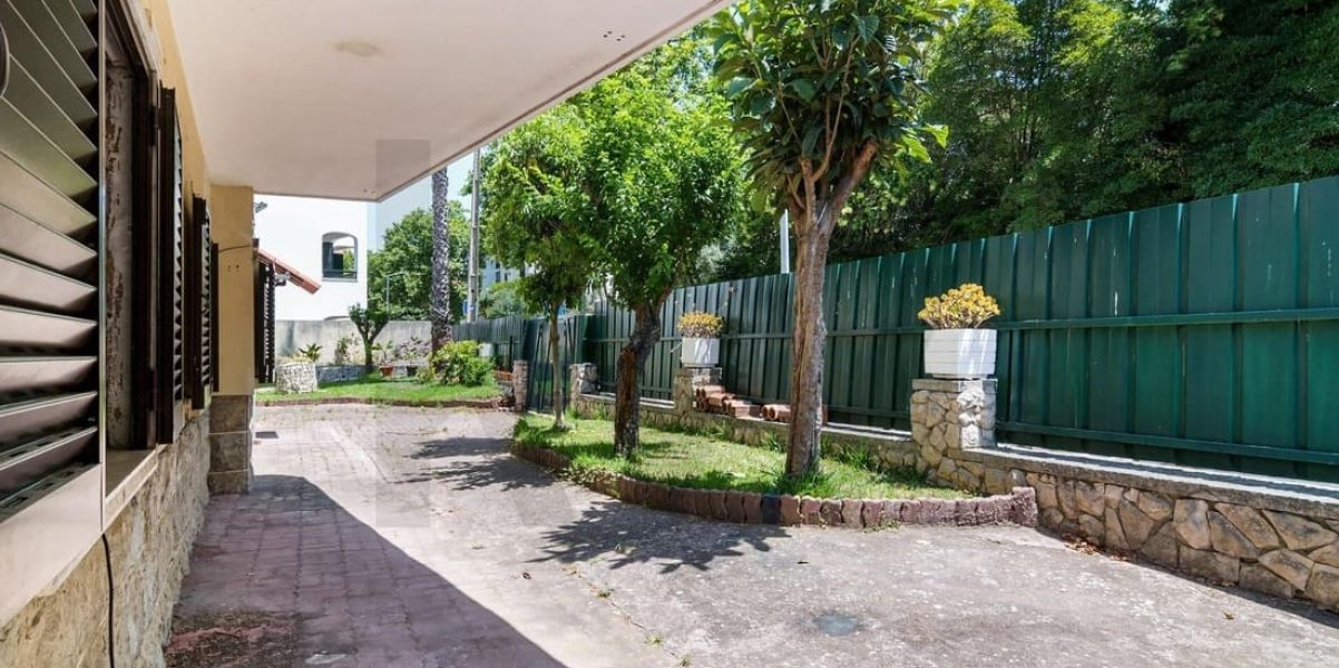 imgi_389_6d5b248d-d2d6-4c6a-b4b9-90e3f3302b24