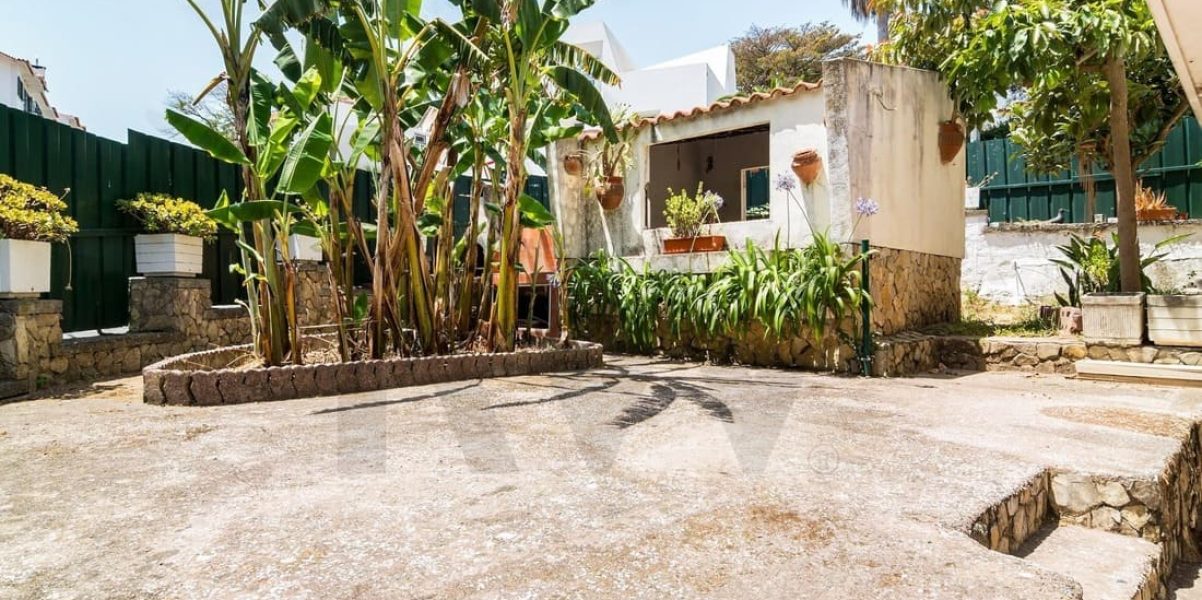 imgi_390_e6de9159-fdca-4ee7-b1eb-3095cbea3bbc