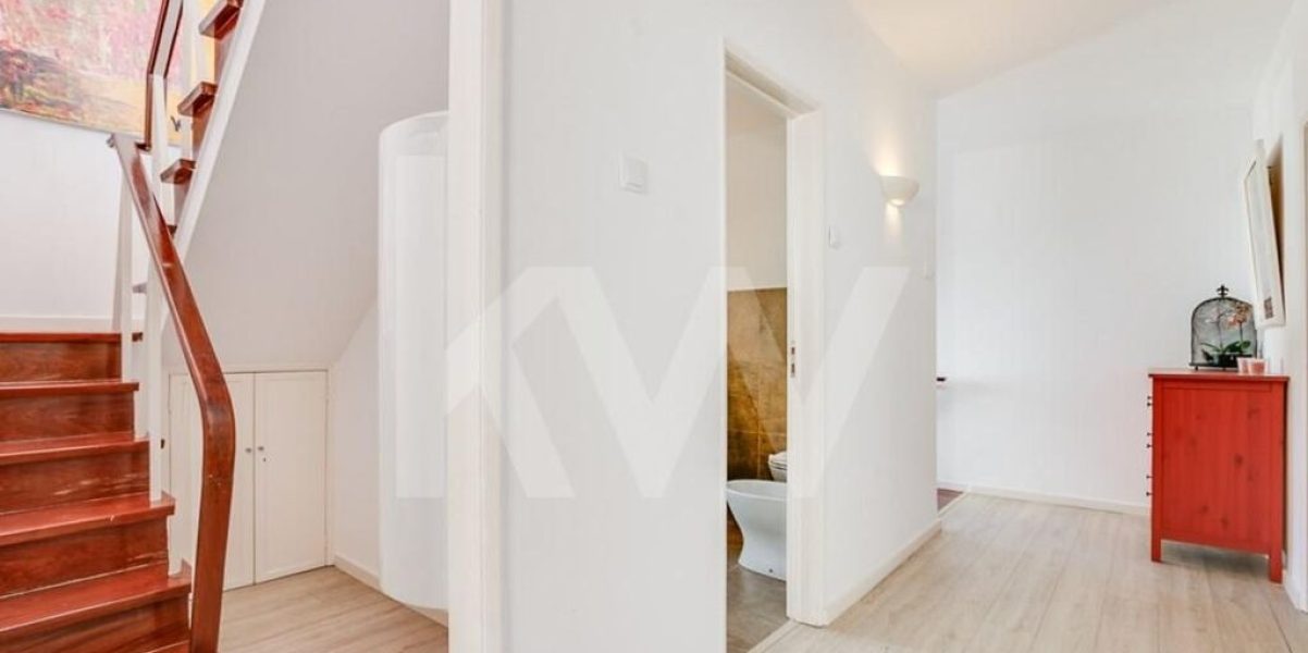 imgi_393_67373c54-6bcc-4dbf-a60d-cbb36648fcd2