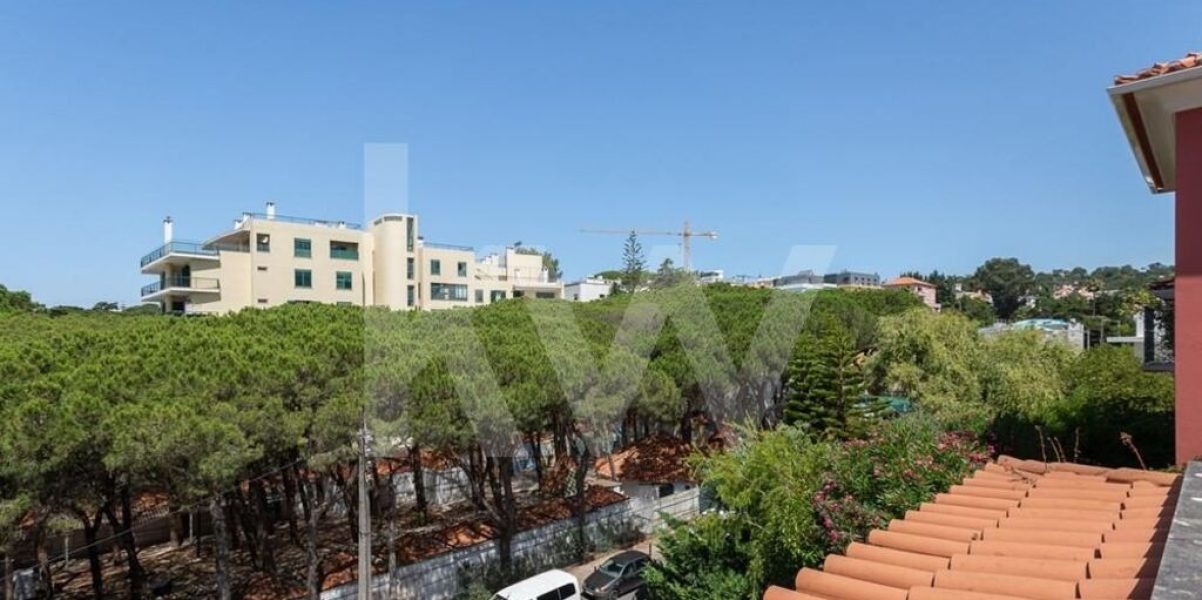 imgi_393_8635c131-076b-450a-9078-9a6cf17b5d9e