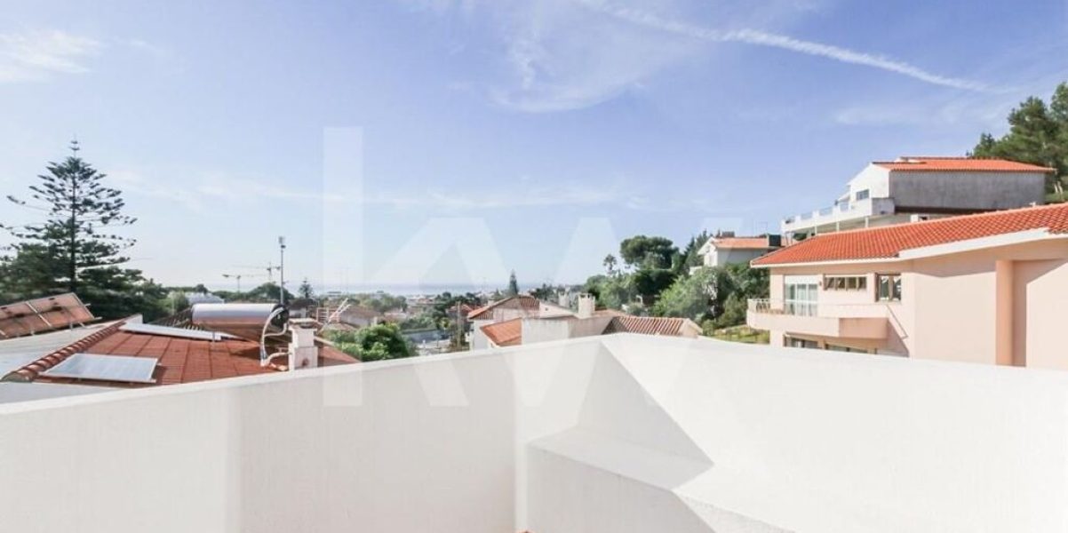 imgi_401_44fa9c12-cba4-44fd-a5db-fd8c8b489a4f