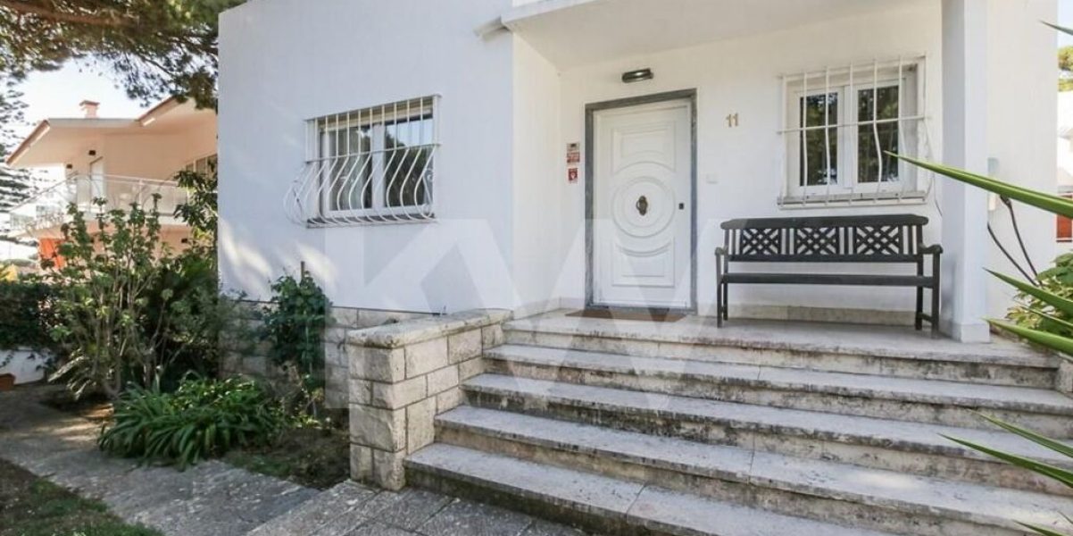 imgi_409_5bb6c453-2be0-4391-a4d2-faac94b08e66