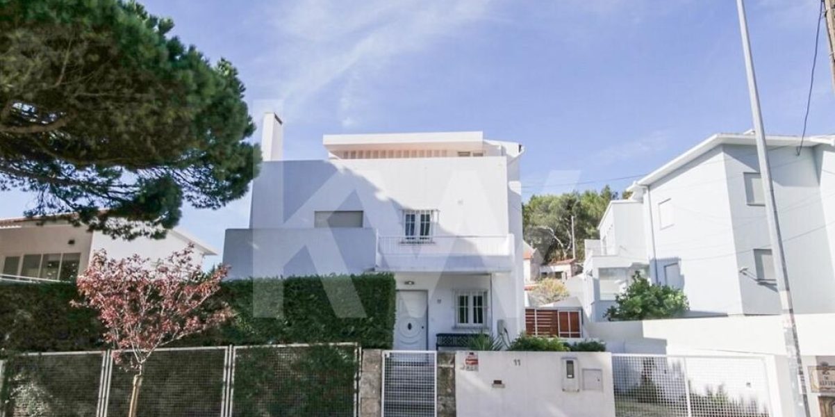 imgi_411_94cc4032-1957-4431-86c6-6b1b74dac185