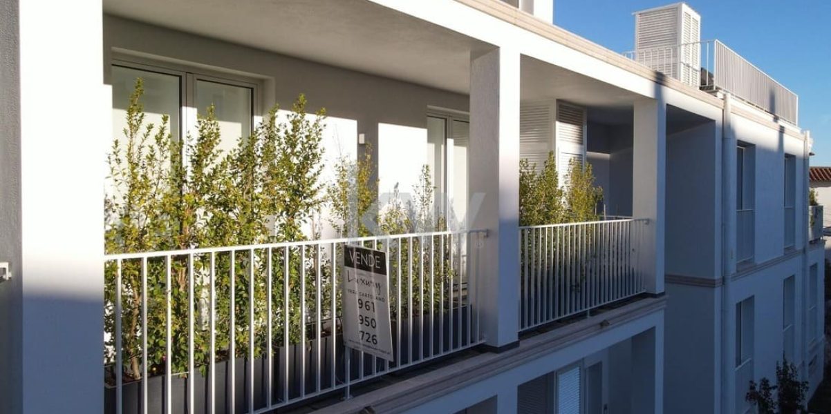 imgi_445_4754021a-738b-4f2b-bc09-85853eba0efd