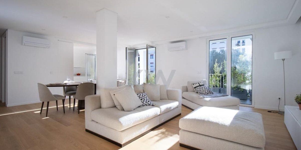 imgi_447_24622d31-d904-4e11-9096-165f09a336de