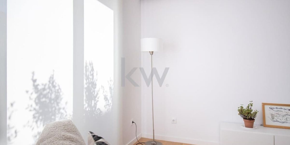 imgi_448_0415c4ad-c2e9-48cc-a039-20fd2a6a708d