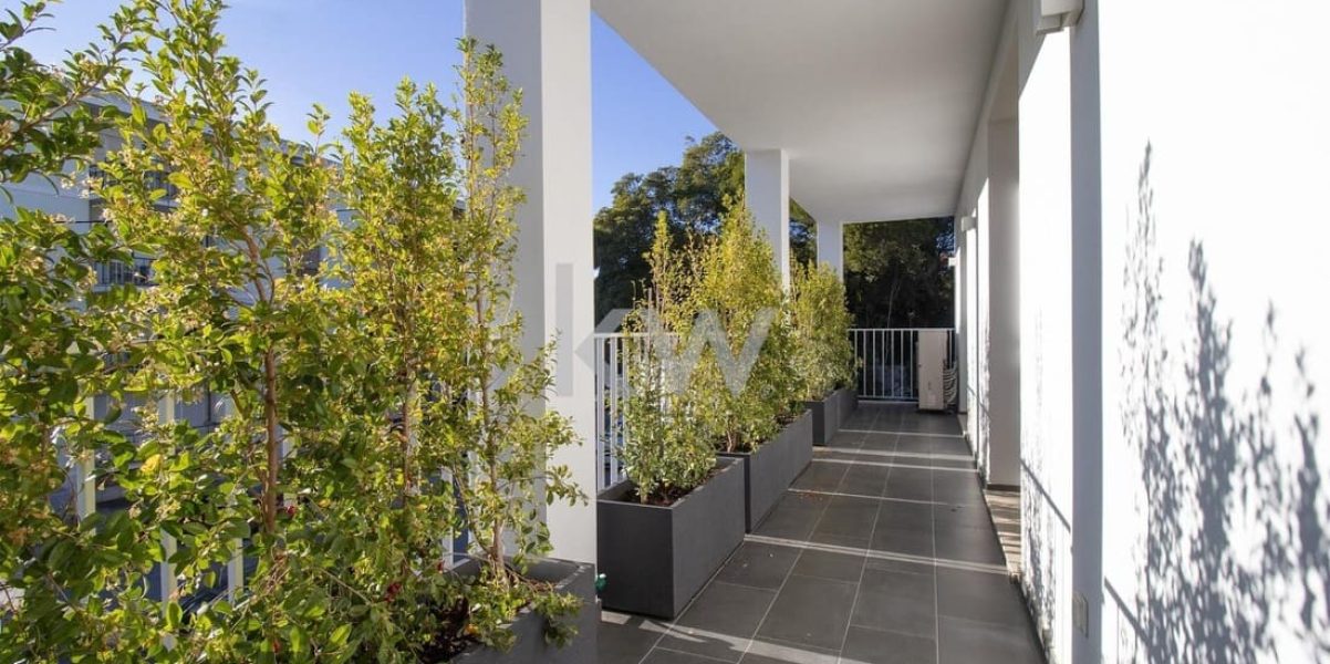 imgi_458_b9ec5b0a-3cd5-495d-a893-45fb3f984916